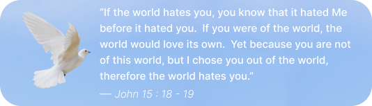 John 15 18 19
