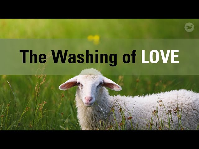 The Washing of Love