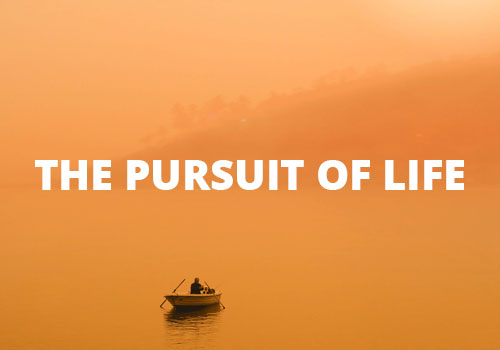 The Pursuit of Life